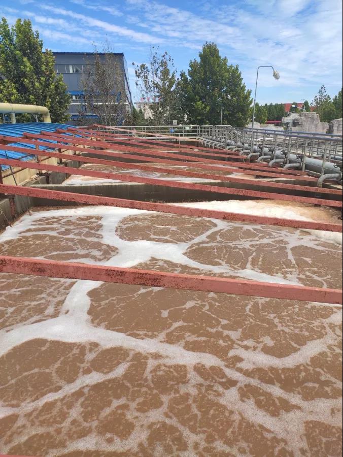 氨氮超標.jpg 氨氮超標.jpg