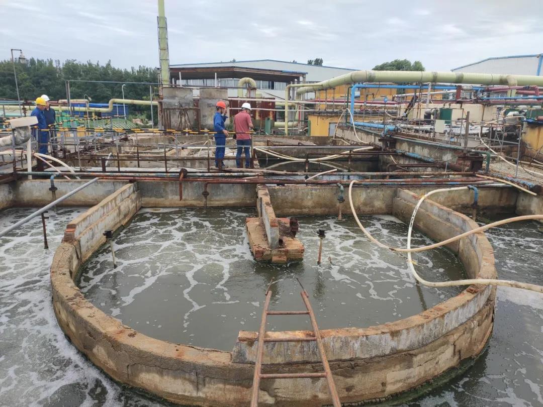 硝化菌種.jpg 硝化菌種.jpg